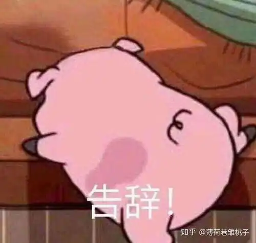  荒野日记孤岛攻略二