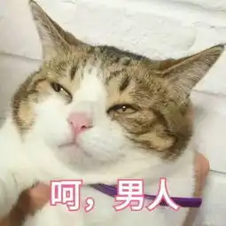  怼人专用表情包不吐脏字怼人才是最高境界