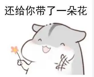 小仓鼠表情包图片大全要