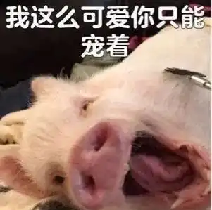  开心,手机打字喜欢用笔画,最终闹出笑话了同学