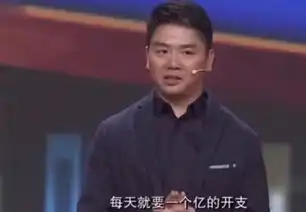  当刘强东说每天开支是多少时,撒贝宁表情亮了