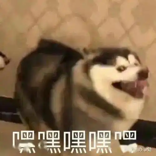  这13条半裙,让t恤更完美