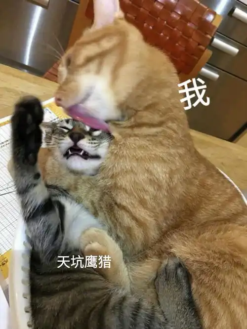  啊呜啊呜抖腿等更新