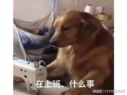 发工资表情包沙雕夜来