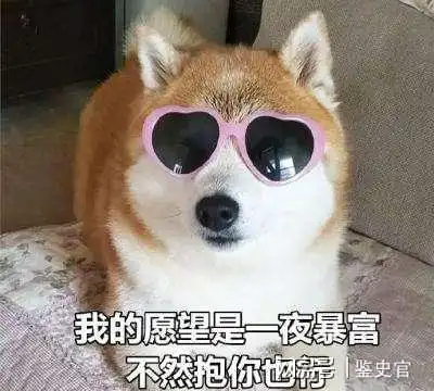  告诉你个秘密狗狗爱你入骨,才会有这些表现