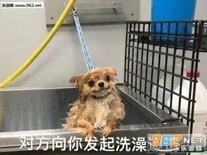  介绍一下我对象搞笑表情包图片你是要讲道理还是要我猫咪表情包下载乐游网游戏下载