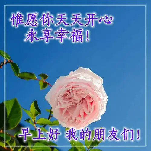 早上好表情包可爱句子