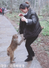  搞笑gif段子隐隐约约看到墙上的拆,这婚我决定要结