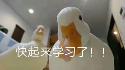  全体成员,把寒假flag支棱起来啊