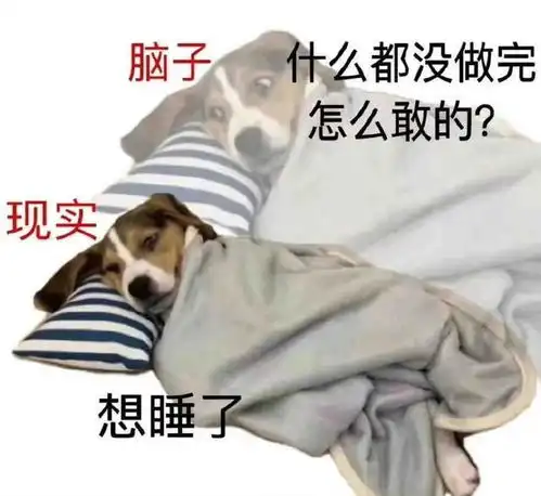  今日份表情包系列我选择相信他