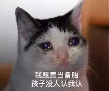  抖音热门表情包一个人的夜我的心应该放在哪里