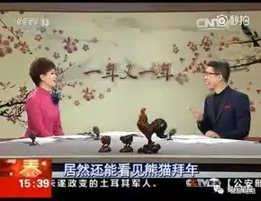  央视主播朱广权说段子很搞笑,可是手语翻译要崩溃了