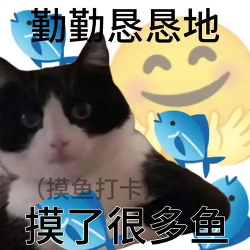  啊我这竹篮打水的爆款人生搞笑表情包合集