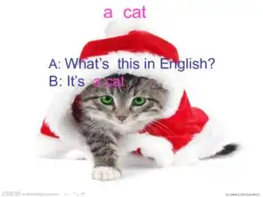 圣诞节表情包绿帽子猫咪