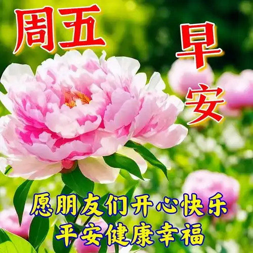  晚上好表情包,晚上好图片,晚上好问候