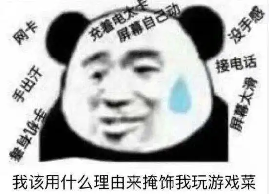  王者荣耀熊猫头系列表情包