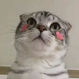  萌系头像我警告你哦