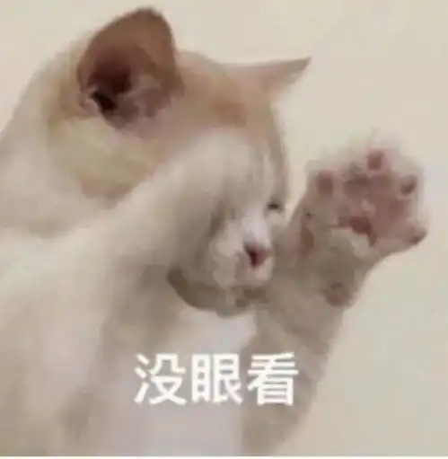  女神下班后跟我说今晚那个吗,到底是啥意思