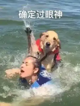  夏日凉爽秘笈,请注意查收
