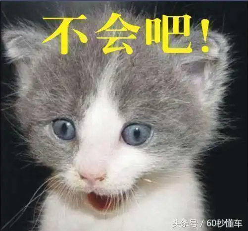  你借过哪些油耗高的离谱的车,从那以后发誓再也不借他的车了