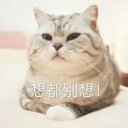  可爱猫咪头像带字高清2018最新人心对人心你真我就真