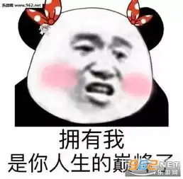  见什么世面见见你就好啦套路表情包图片拥有我是你人生的巅峰了表情包下载乐游网游戏下载