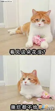  王源再见删除屏蔽拉黑表情包图片当好你的鸡其他的少操心怼人表情包图片下载乐游网游戏下载