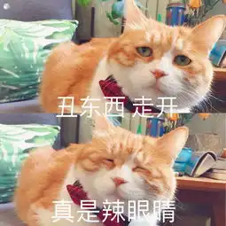 论女生拒绝喜欢自己的男生时的心情 论女生拒绝喜欢自己的男生时的心情