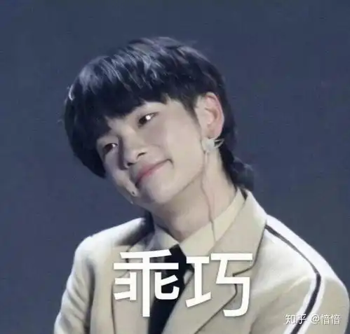 r1se表情包花开是壶李靖