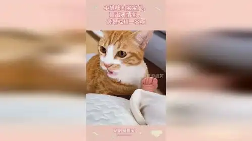  小猫咪闻宝宝脚,熏出表情包,真是戏精一名啊