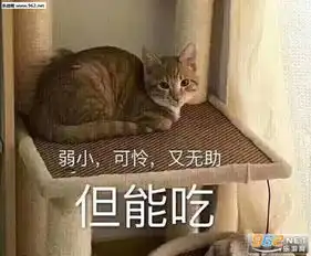  这么社会的吗什么意思表情包当然不一样我是人你是狗表情包图片下载乐游网游戏下载