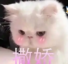  无人可恋,唯有自恋