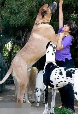  松鼠在女孩头发安营扎寨聚焦那些大动物6351545教育图片库大视野