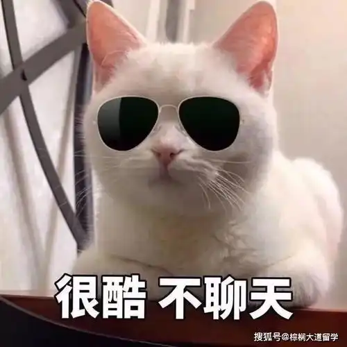  留学前需要了解的30件小事