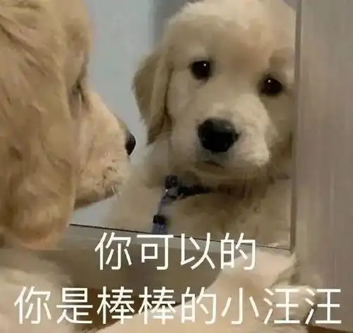  e句话看天下丨等这枚金牌等了12年,徐梦桃终于圆梦了