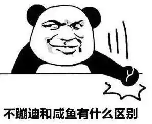 兄dei,是时候开始蹦迪了 兄dei,是时候开始蹦迪了