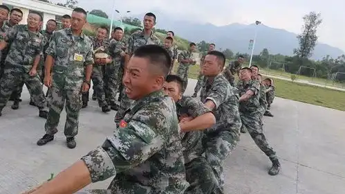 绝了这波新兵表情包,你值得拥有
