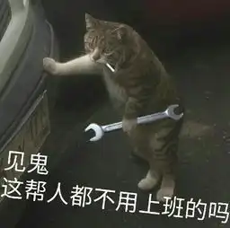  颤抖吧新疆马肉香肠每日轻松一刻12月29日晚间版