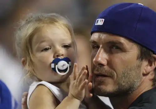 小七哈珀表情包奶嘴