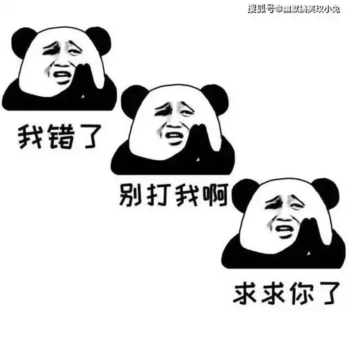  每日笑话连续几天莫名其妙地收到让我汇款的短信,忍不住回复了