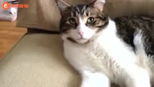 只是你没看到罢了的个人频道 只是你没看到罢了的个人频道