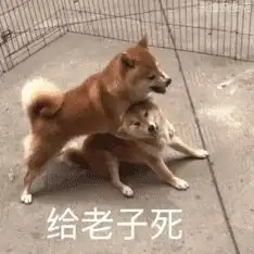  表情包烦死了这女的