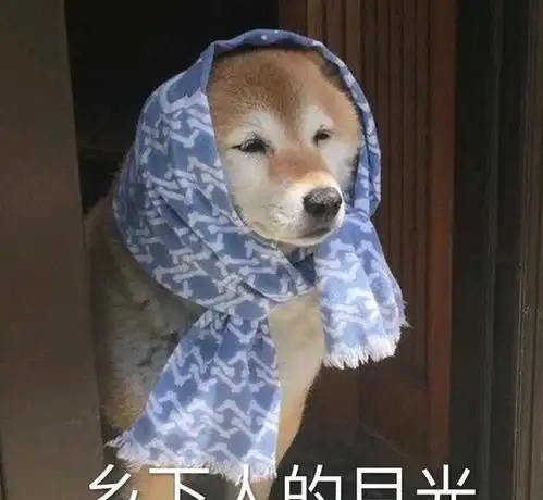  这种情况,想搭讪第一句说什么比较好呢哈哈哈网友这招绝了