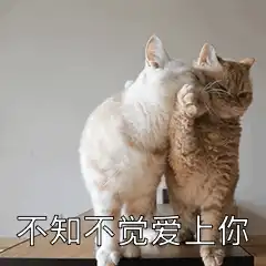  坏坏的撩妹表情包今天你那里吹风了吗风有告诉你我喜欢你吗