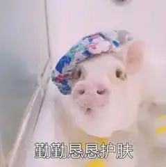  同样是暑假,我过的怎么...和别人不太一样