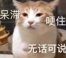 加菲猫表情包小视频快滚