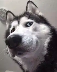  哈请把我拍得美丽一点