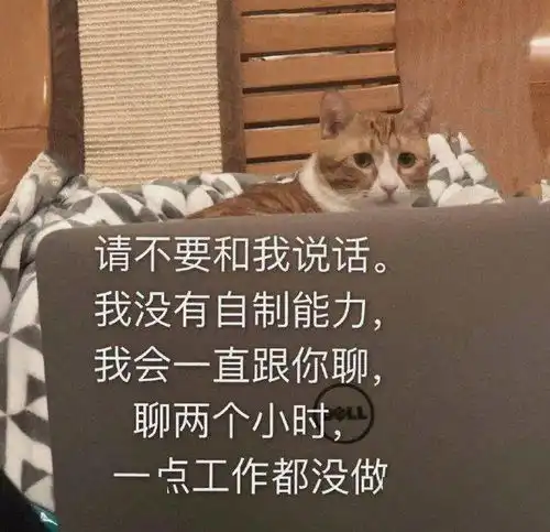  沙雕表情我的天空在下着小雨