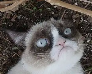  就让我们慢慢熟悉起来吧