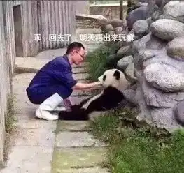  卧槽,莫名的戳中笑点